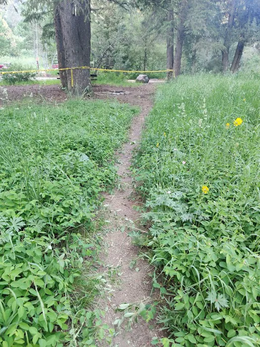 Willow Flat Campground Picture 10