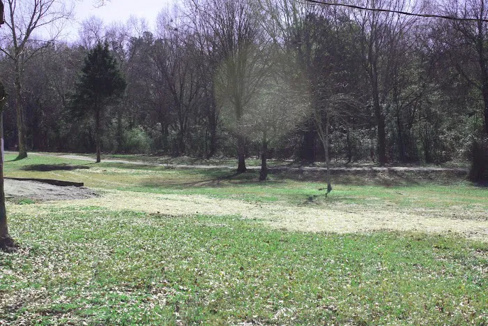 North Atlanta RV Park Picture 4