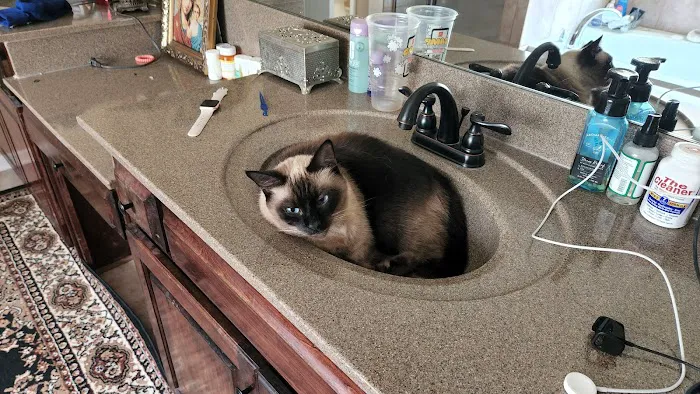 North Atlanta RV Park Picture 9