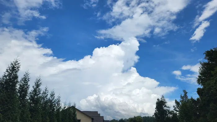 North Atlanta RV Park Picture 8