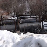 Albert Moser Campground ico