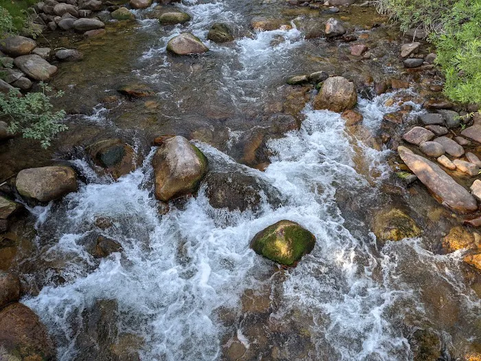 Albert Moser Campground Picture 3