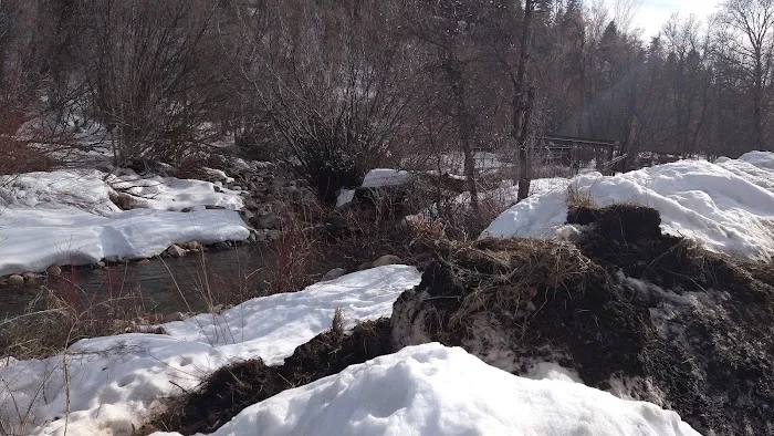 Albert Moser Campground Picture 5