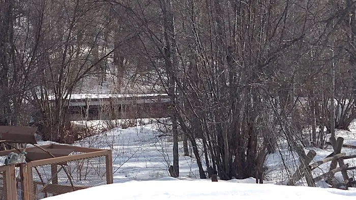 Albert Moser Campground Picture 8