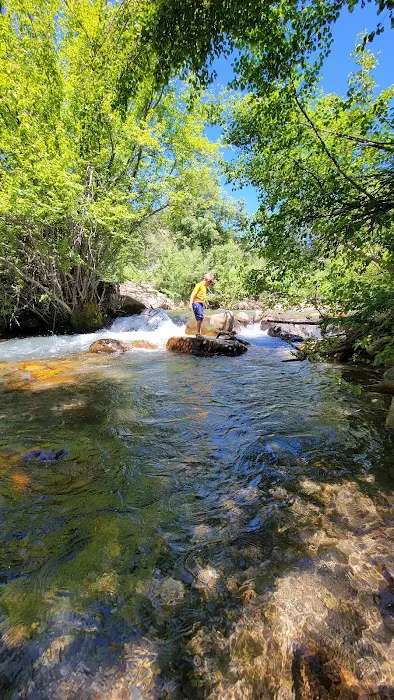 Albert Moser Campground Picture 6