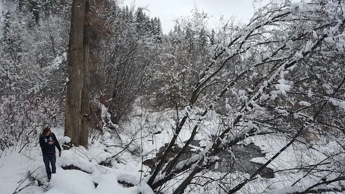 Albert Moser Campground Picture 10