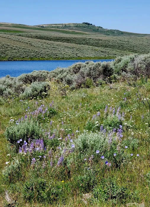 Lake Viva Naughton Campsite Picture 2