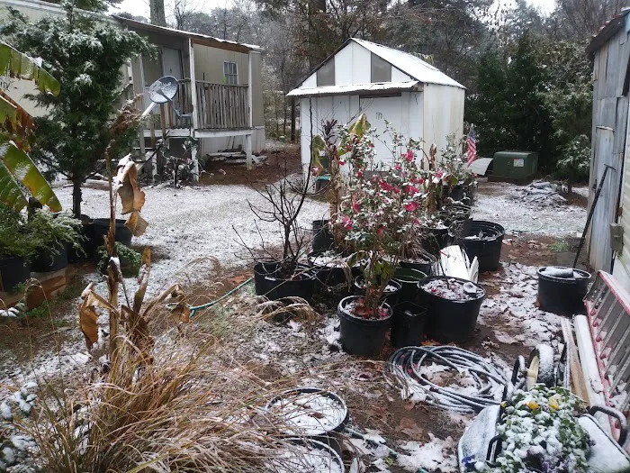 Winder Village Picture 1