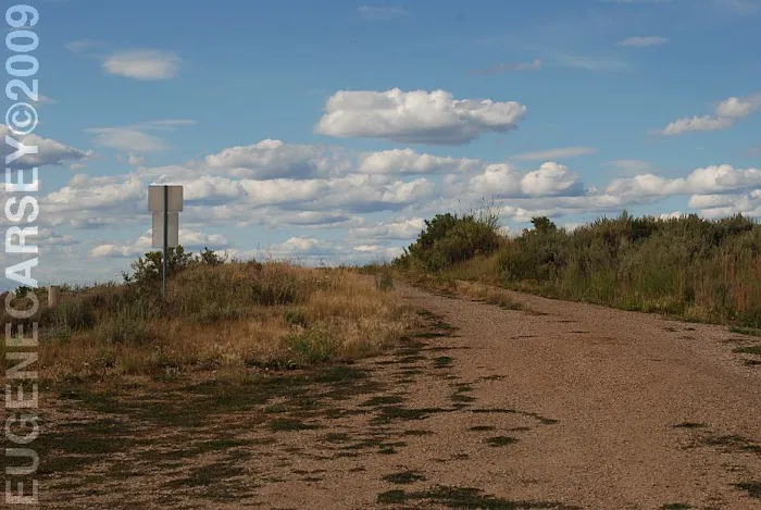 Upper Viva Naughton Campground Picture 2