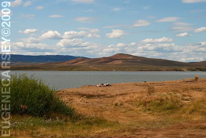 Viva Naughton Marina Campground Picture 1