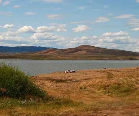 Viva Naughton Marina Campground