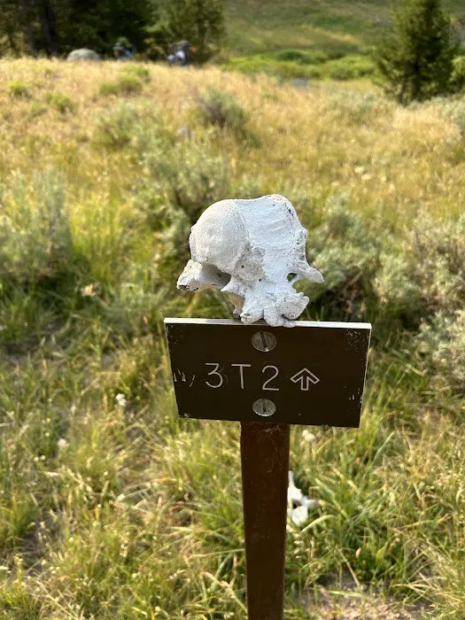 Mist Creek Meadows 3T2 Picture 3