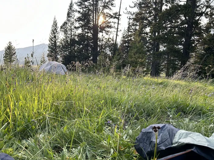 Mist Creek Meadows 3T2 Picture 1