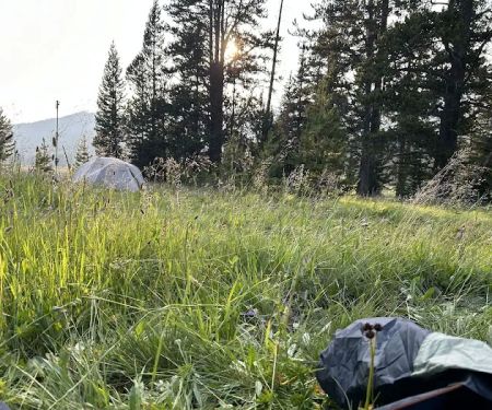 Mist Creek Meadows 3T2