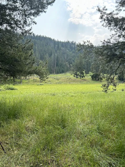 Middle Lamar Picture 3