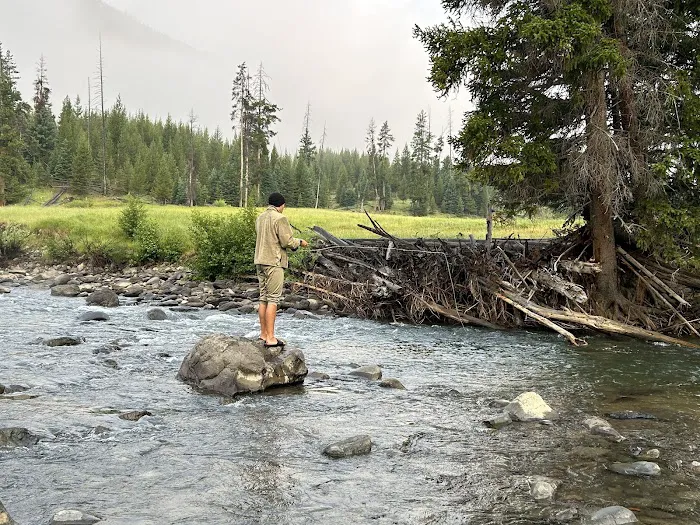 Middle Lamar Picture 1