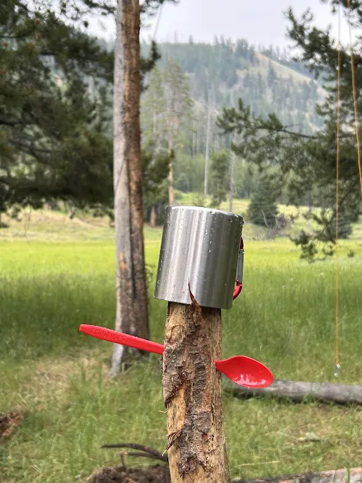 Middle Lamar Picture 4