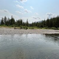 Little Saddle Creek ico