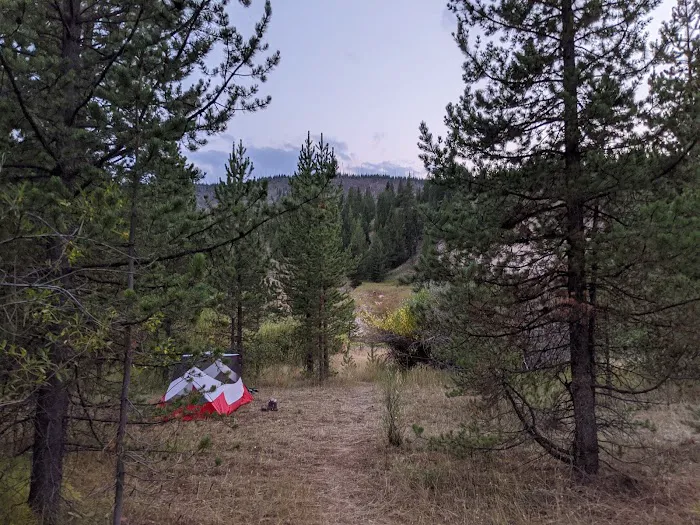 Little Saddle Creek Picture 3