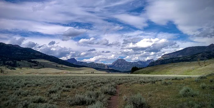 Lower Lamar 3L4 Picture 4