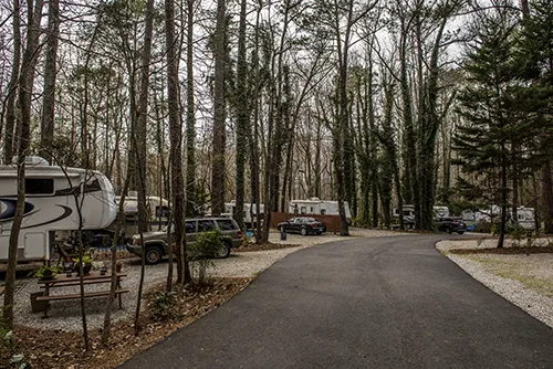 Pine Lake RV Campground Picture 4