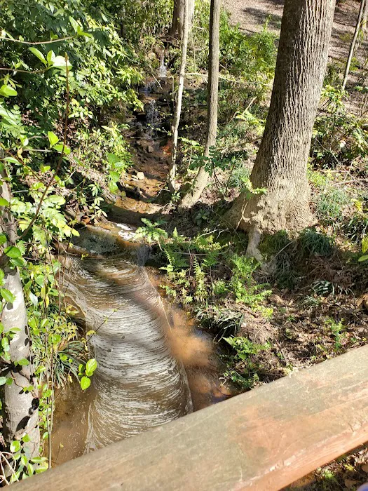 Pine Lake RV Campground Picture 8