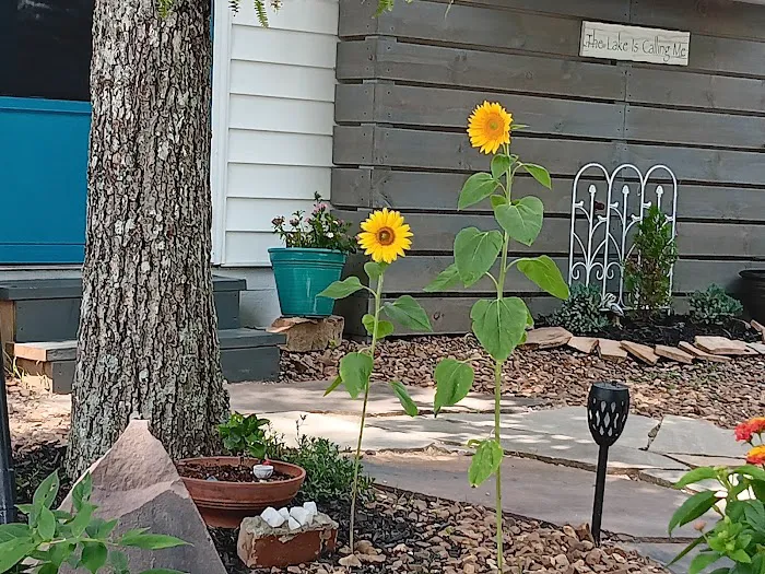 Holiday Out at Lake Tansi Picture 9