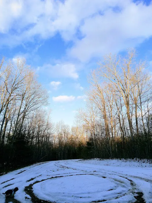 Holiday Out at Lake Tansi Picture 10