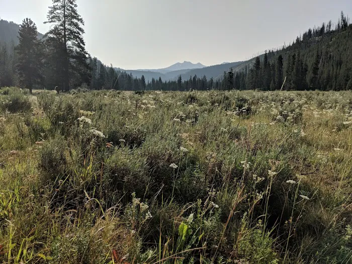 Appaloosa Meadows Picture 2