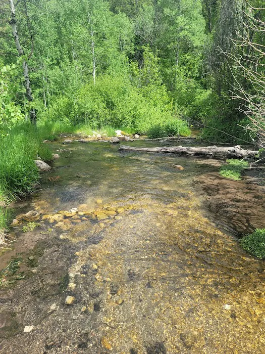 Malad Summit Campground Picture 3