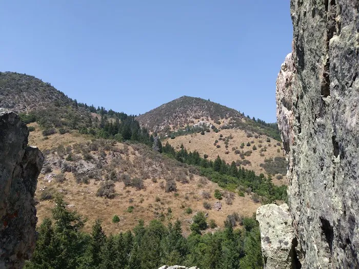 Malad Summit Campground Picture 4