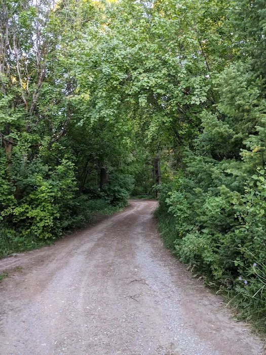 Malad Summit Campground Picture 6