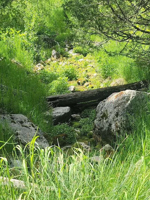 Malad Summit Campground Picture 8