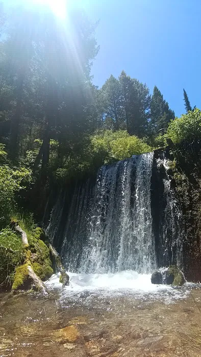 Malad Summit Campground Picture 7