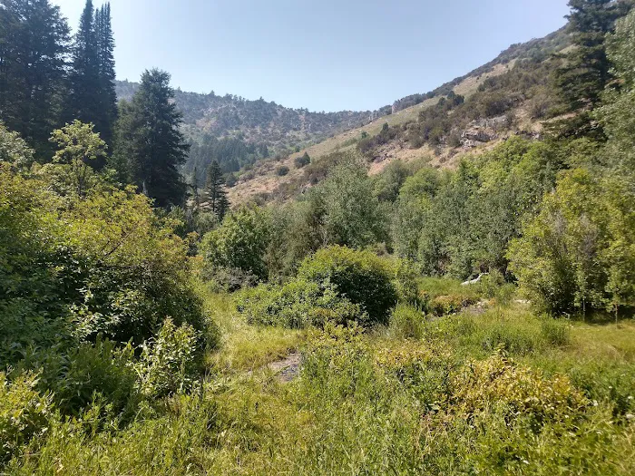 Malad Summit Campground Picture 9