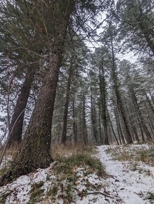 Malad Summit Guard Station Picture 9