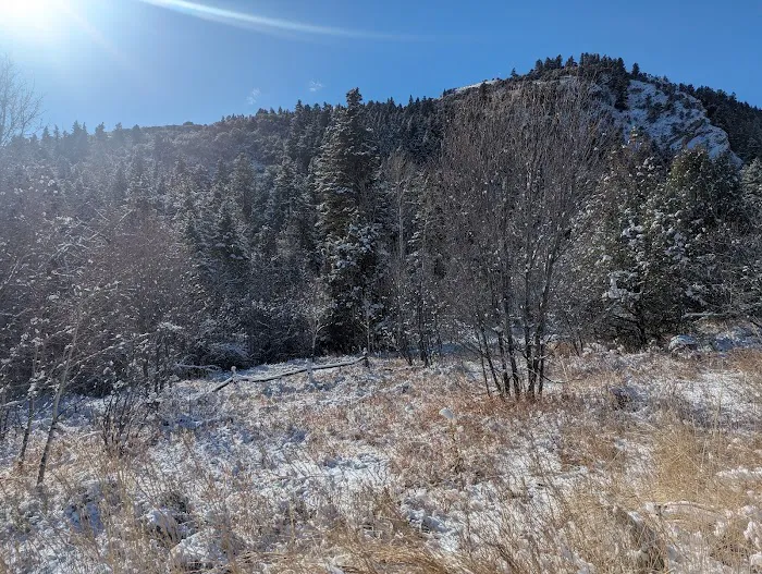 Malad Summit Guard Station Picture 5