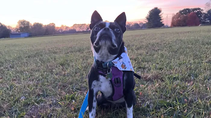 Country Life RV Parks & Services Picture 5