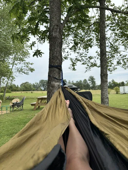 Country Life RV Parks & Services Picture 4