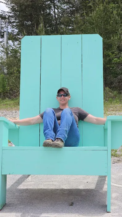 A Heart Within Nature Picture 1