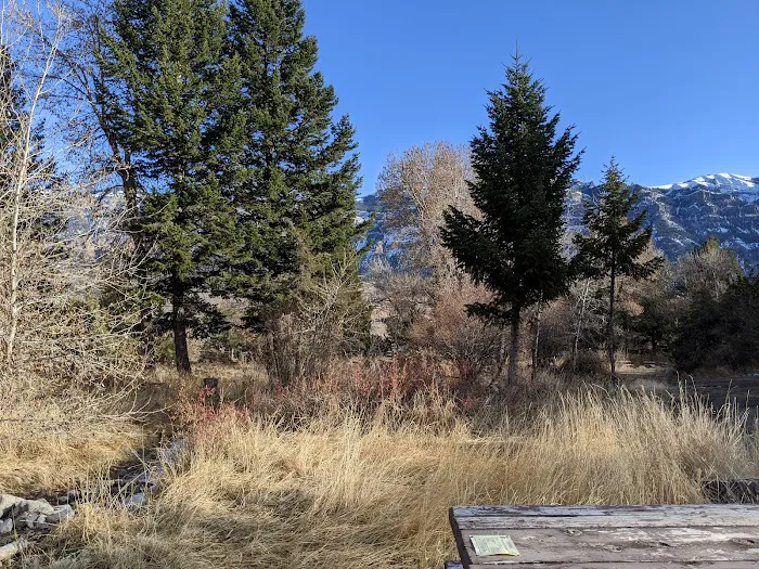 Deer Creek Campground Picture 2