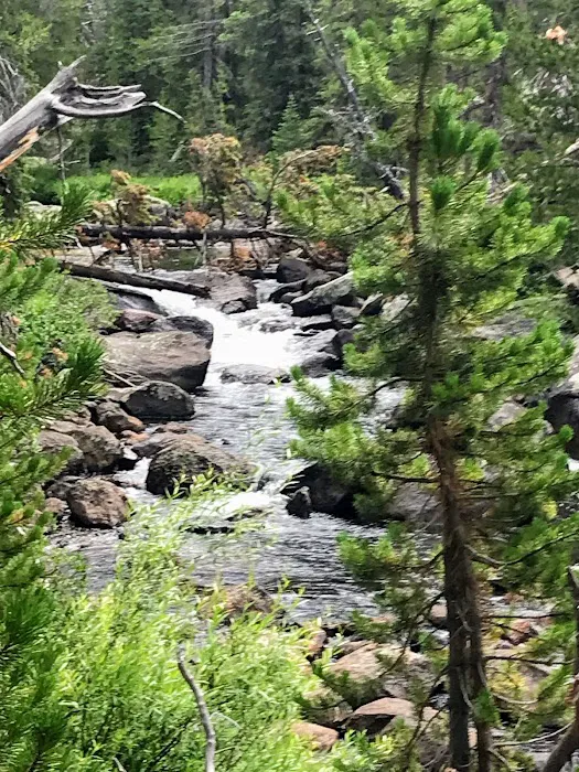 Big Sandy Campground Picture 4