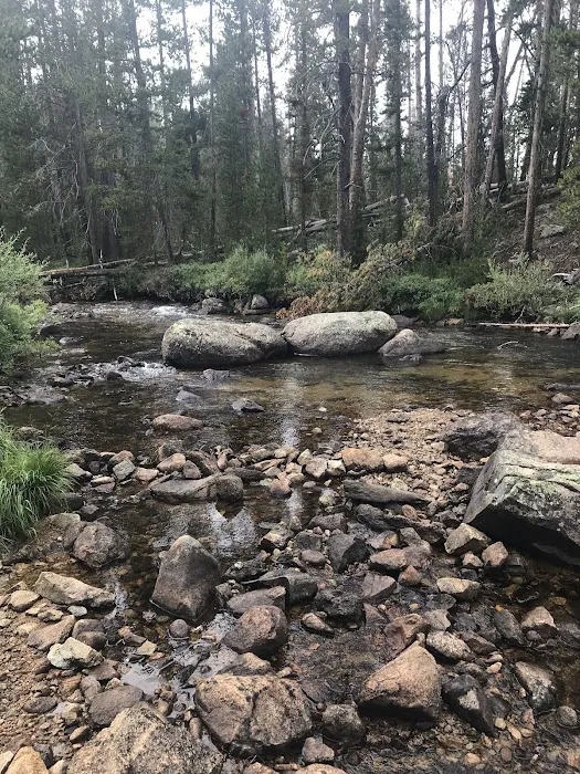 Big Sandy Campground Picture 5