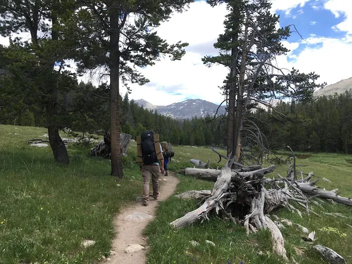 Big Sandy Campground Picture 6