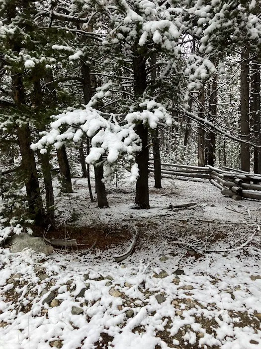 Big Sandy Campground Picture 9