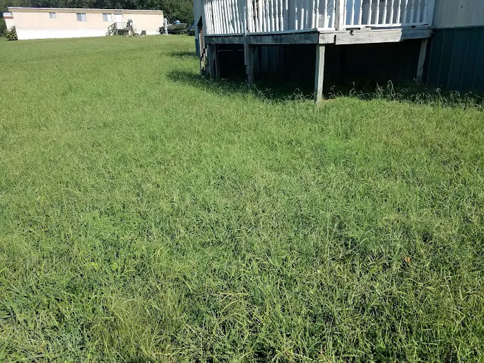 Miller Pointe Mobile Home Park Picture 9