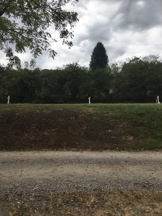 Charleston Commons RV Park Picture 2