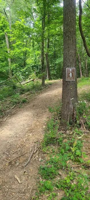 Charleston Commons RV Park Picture 4