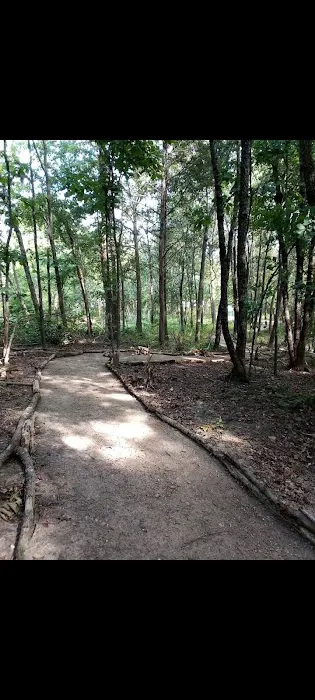 Charleston Commons RV Park Picture 6