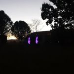 Deer Hollow Estates LLC